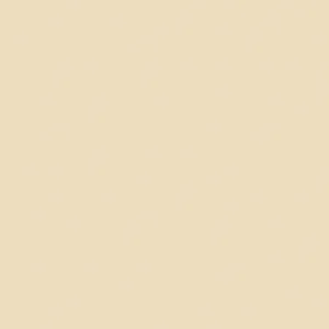 Plywood Melamine 221T 18mm